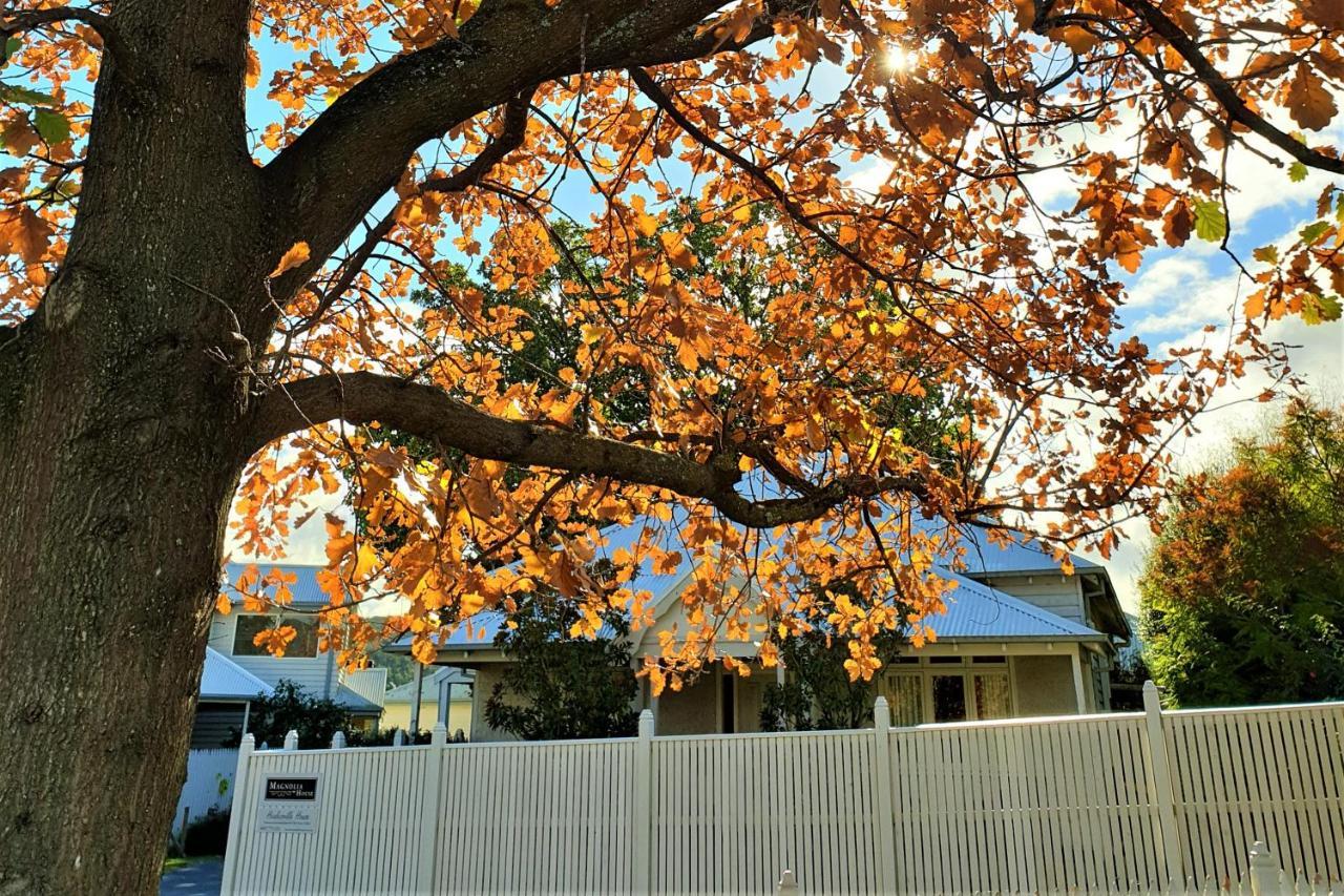Healesville House - Magnolia House Εξωτερικό φωτογραφία